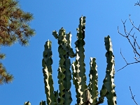 P8121786 ji : ITA, Italien, Veneto