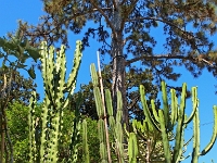 P8121787 ji : ITA, Italien, Veneto