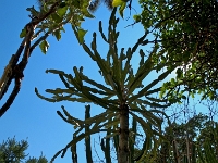 P8121788 ji : ITA, Italien, Veneto