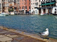 P8132129 ji : ITA, Italien, Veneto