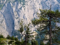 P8071066 b : AUT, Österreich, Steiermark, Altaussee, Gosau, Loser, Vorderer Gosausee