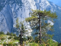 P8071094 b : AUT, Österreich, Steiermark, Altaussee, Gosau, Loser, Vorderer Gosausee
