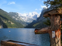 P8071151 b : AUT, Österreich, Salzburg, Gosau, Vorderer Gosausee
