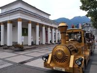 P8081315 b : AUT, Oberösterreich, Österreich
