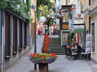 P8081353 b : AUT, Oberösterreich, Österreich