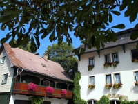P8039606 b : AUT, Österreich, Salzburg, Fuschl am See