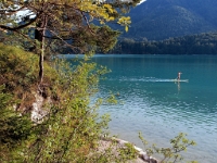 P8039647 b : AUT, Österreich, Salzburg, Fuschl am See