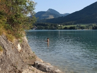 P8039650 b : AUT, Österreich, Salzburg, Fuschl am See