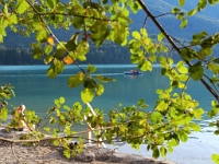 P8039656 b : AUT, Österreich, Salzburg, Fuschl am See