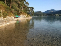 P8039661 b : AUT, Österreich, Salzburg, Fuschl am See