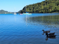 P8050012 b : AUT, Österreich, Fuschl am See, Salzburg