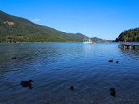 P8050026 b : AUT, Österreich, Fuschl am See, Salzburg