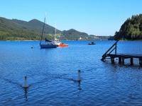 P8059970 b : AUT, Österreich, Salzburg, Fuschl am See