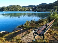 P8059991 b : AUT, Österreich, Salzburg, Fuschl am See