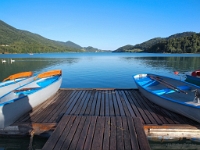 P8059996 b : AUT, Österreich, Salzburg, Fuschl am See