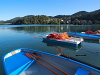 P8059997 b : AUT, Österreich, Salzburg, Fuschl am See