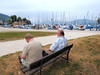 P8091410 b : AUT, Oberösterreich, Österreich