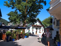 P8050266 b : AUT, Österreich, Salzburg, Sankt Gilgen