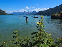 P8050301 b : AUT, Österreich, Salzburg, Sankt Gilgen
