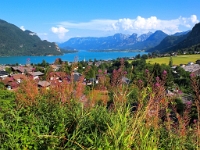 P8050347 b : AUT, Österreich, Salzburg, Pöllach, Sankt Gilgen