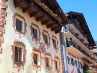 P8060740 b : AUT, Oberösterreich, Österreich