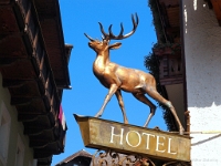 P8060774 b : AUT, Oberösterreich, Österreich