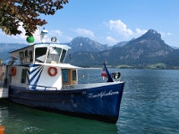 P8060820 b : AUT, Oberösterreich, Österreich