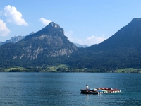 P8060839 b : AUT, Oberösterreich, Österreich