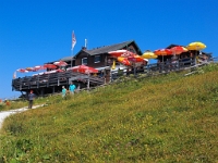 P8060548 b : AUT, Oberösterreich, Österreich