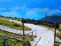 P8060550 b : AUT, Oberösterreich, Österreich