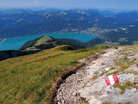 P8060552 b : AUT, Oberösterreich, Österreich