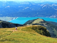 P8060553 b : AUT, Oberösterreich, Österreich