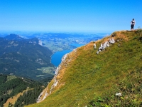 P8060555 b : AUT, Oberösterreich, Österreich