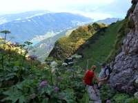 P8060566 b : AUT, Oberösterreich, Österreich