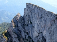 P8060625 b : AUT, Oberösterreich, Österreich