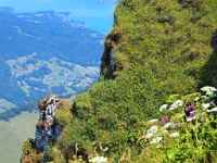 P8060674 b : AUT, Oberösterreich, Österreich