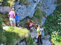 P8060695 b : AUT, Oberösterreich, Österreich