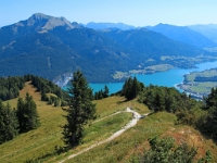 P8050138 b : AUT, Österreich, Salzburg, Sankt Gilgen, Zwölferhorn