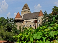 D3X 5319 ji : AUT, Österreich