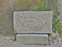 D3X 5762 ji : AUT, Österreich