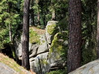 D3X 5967 ji : AUT, Österreich