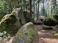 D3X 6008 ji : AUT, Österreich