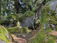 D3X 6016 ji : AUT, Österreich