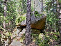 D3X 6063 ji : AUT, Österreich