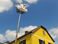D3X 6387 ji : AUT, Österreich