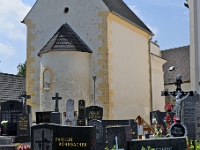 D3X 6481 ji : AUT, Österreich