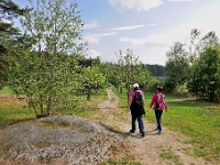 D3X 6563 ji : AUT, Österreich
