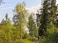 D3X 6594 ji : AUT, Österreich
