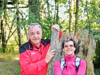 D3X 6633 ji : AUT, Österreich